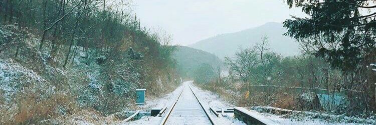 shxxvaa's profile banner image