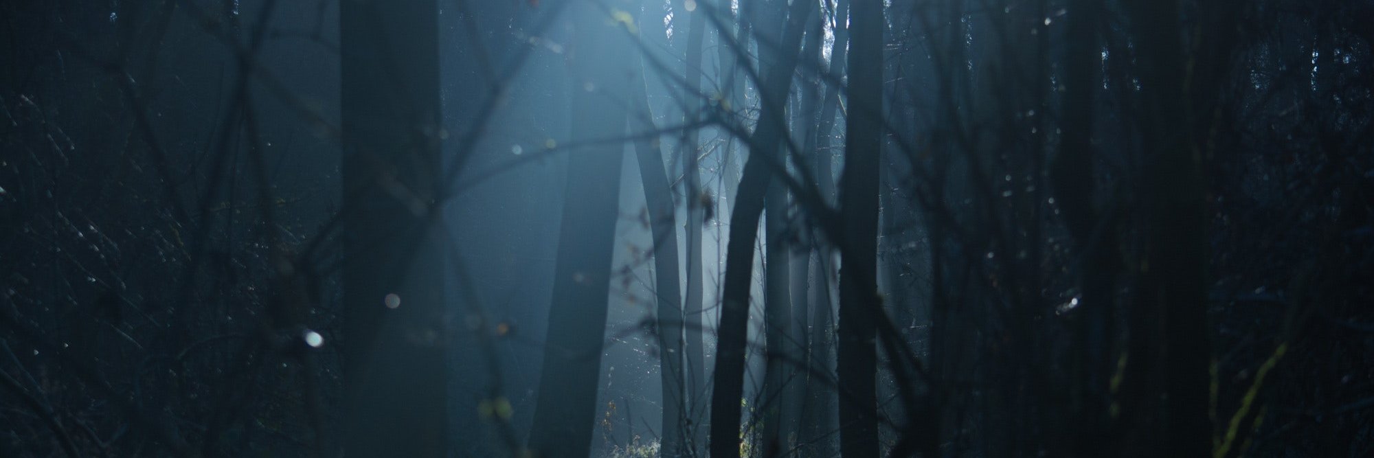 TerrorChallenge's profile banner image