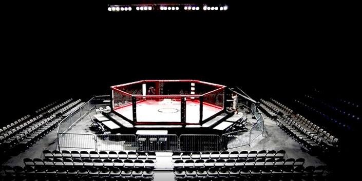 Chel-c Bailey banner