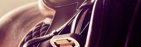 EwShowcattle's profile banner image