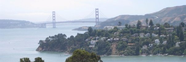 Stephen Kim🌻 banner