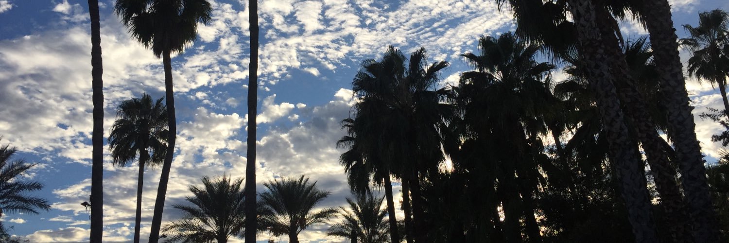 Alexaquickk's profile banner image