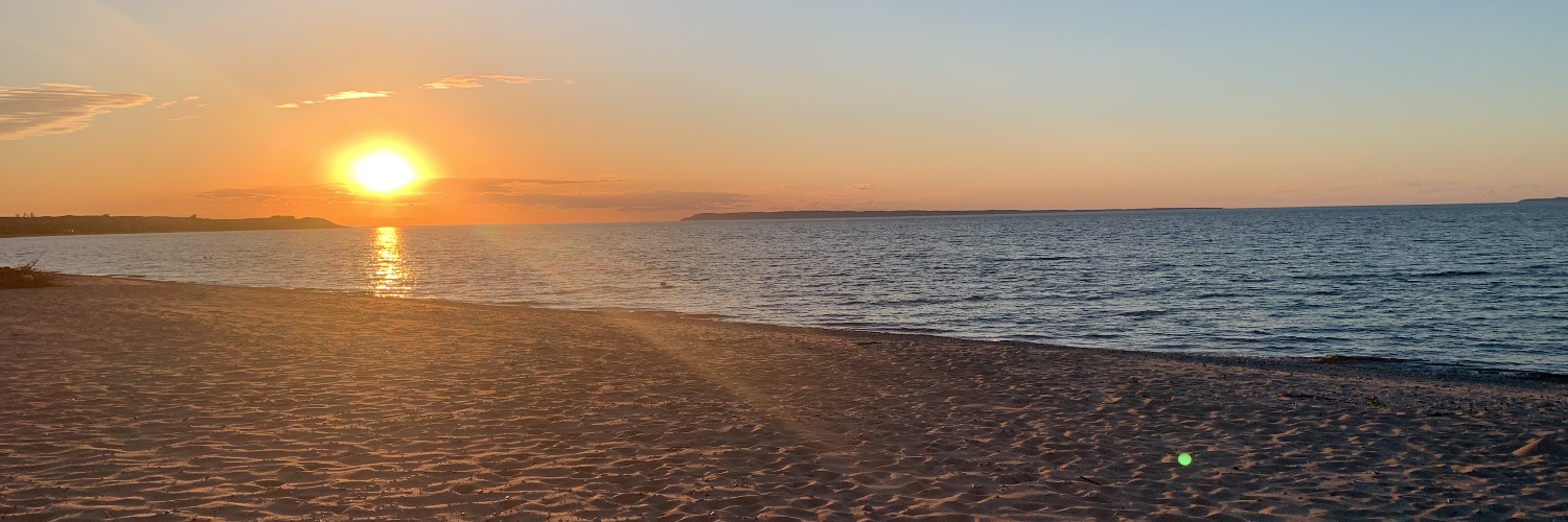 Sara Hughes (@sshughes.bsky.social) banner