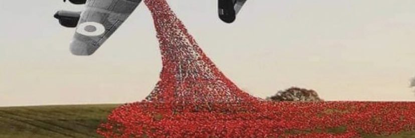 ashleyni banner