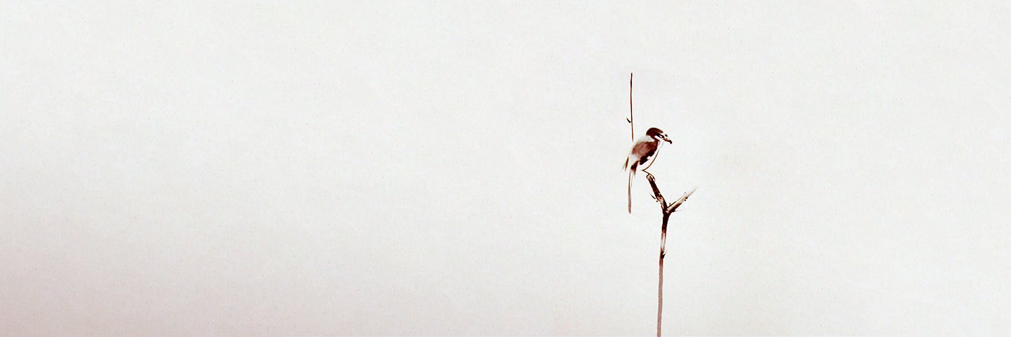 aldoscz's profile banner image