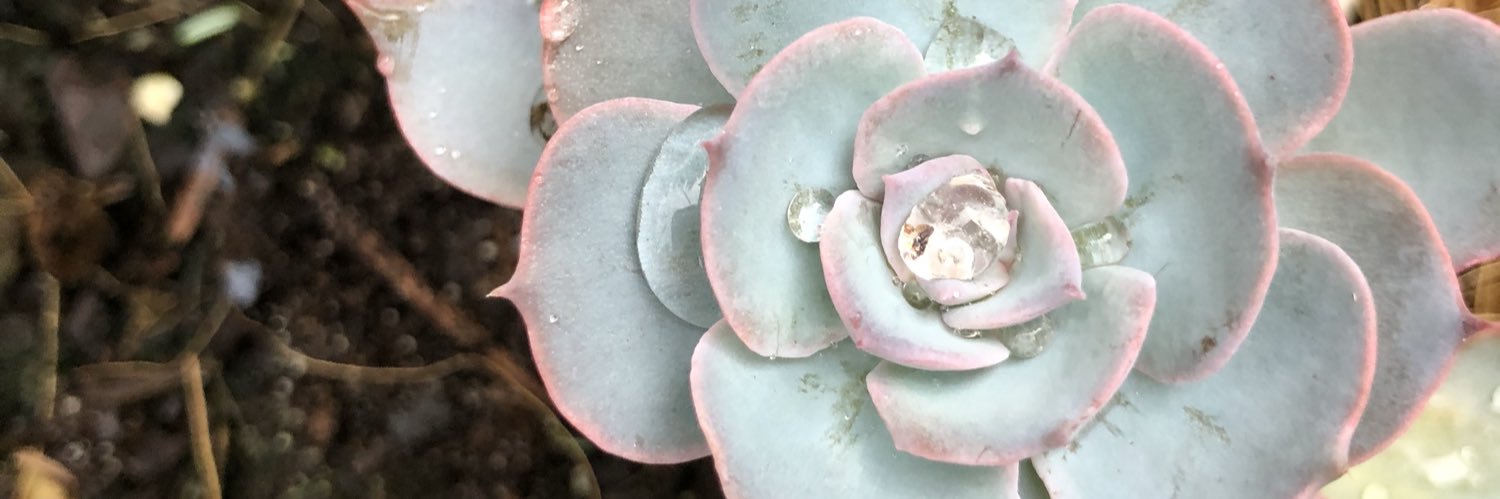 kam_alyssa's profile banner image