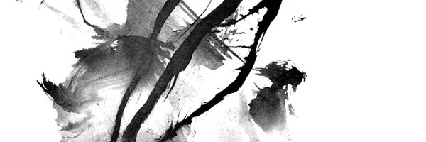 SEAWEEDTHEKING Profile Banner