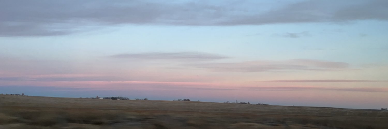 cooterbrain's profile banner image