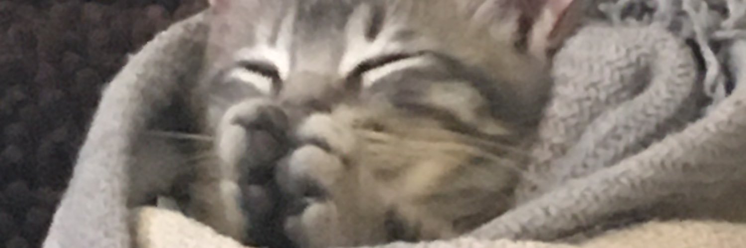 lemongrub_'s profile banner image