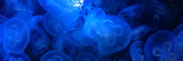 LeonieBeining Profile Banner