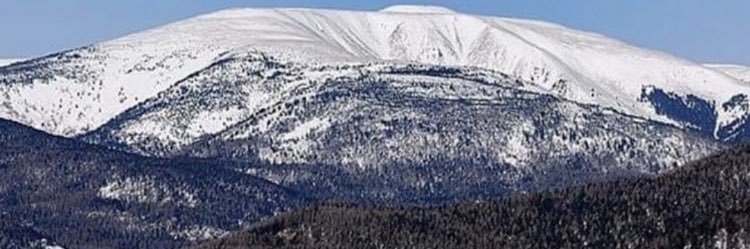 Шар тос banner