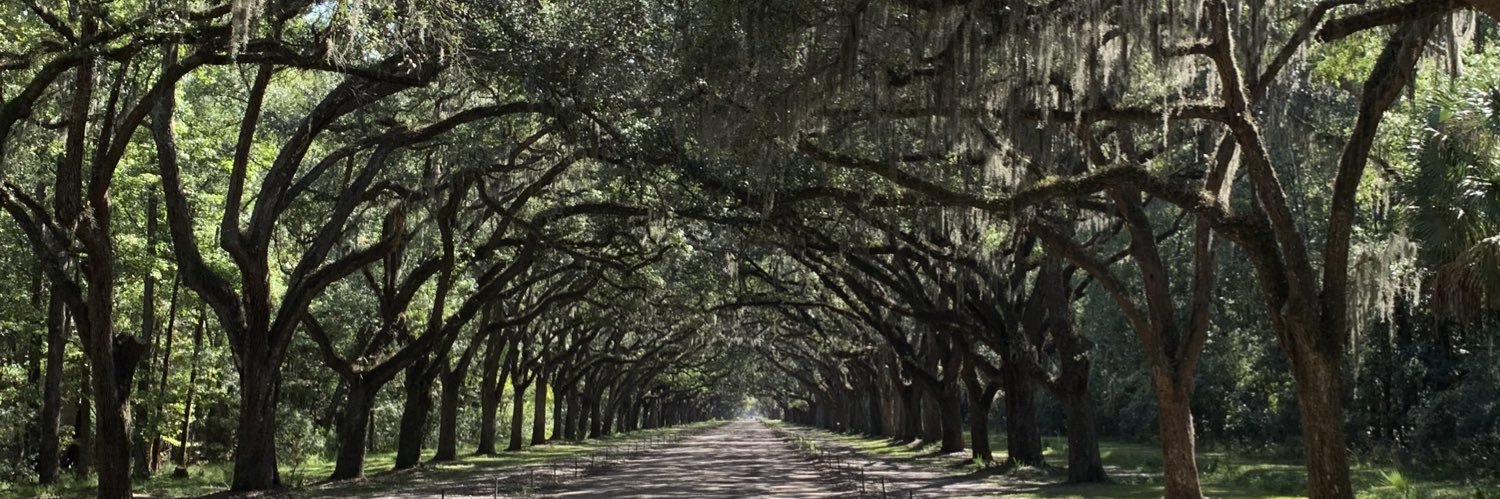 Jon Armitstead banner