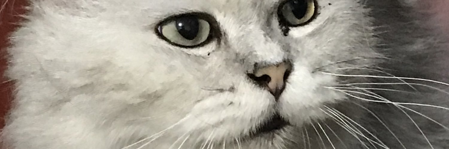 tupszz's profile banner image