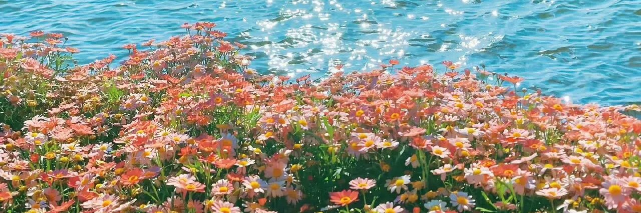 辣椒5（互fo） banner