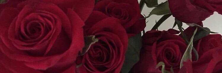 alkzaam's profile banner image