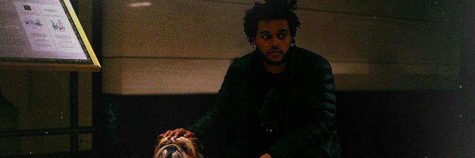 AlaniMaka's profile banner image