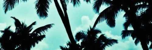 psocsgo's profile banner image