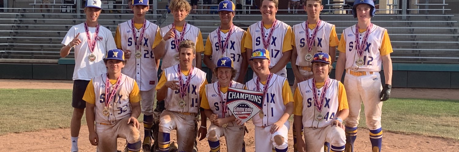 Shoreline Stix banner