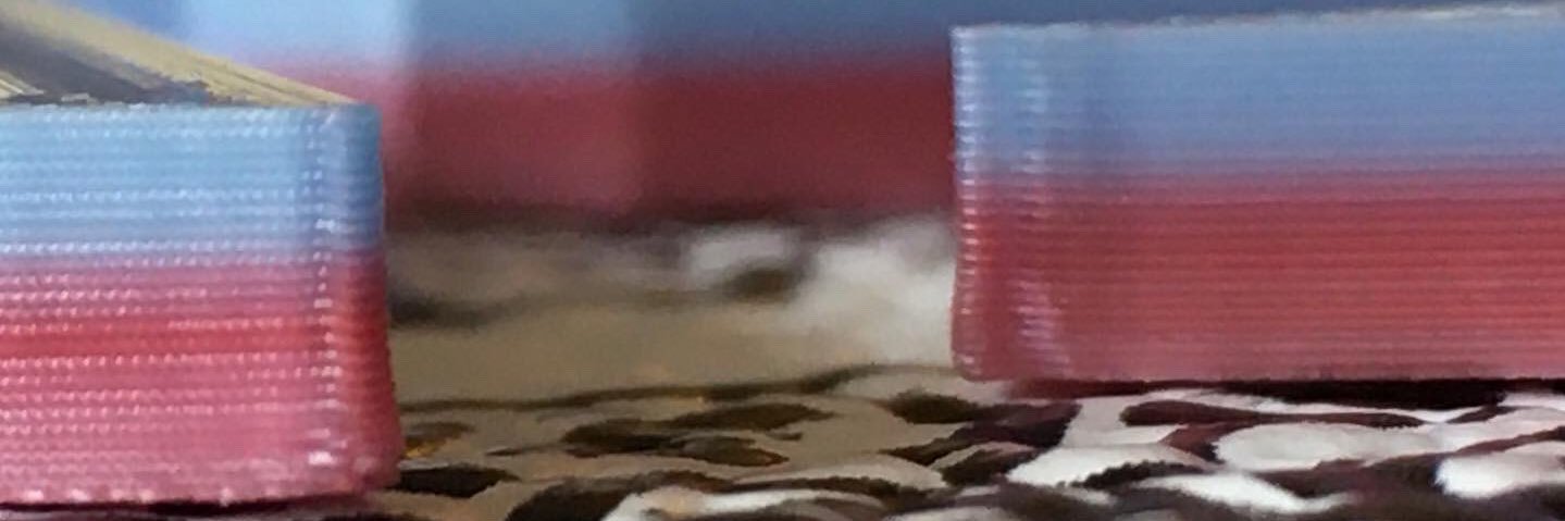 Lorisia MacLeod banner