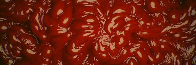 Baco Zarco GDL banner