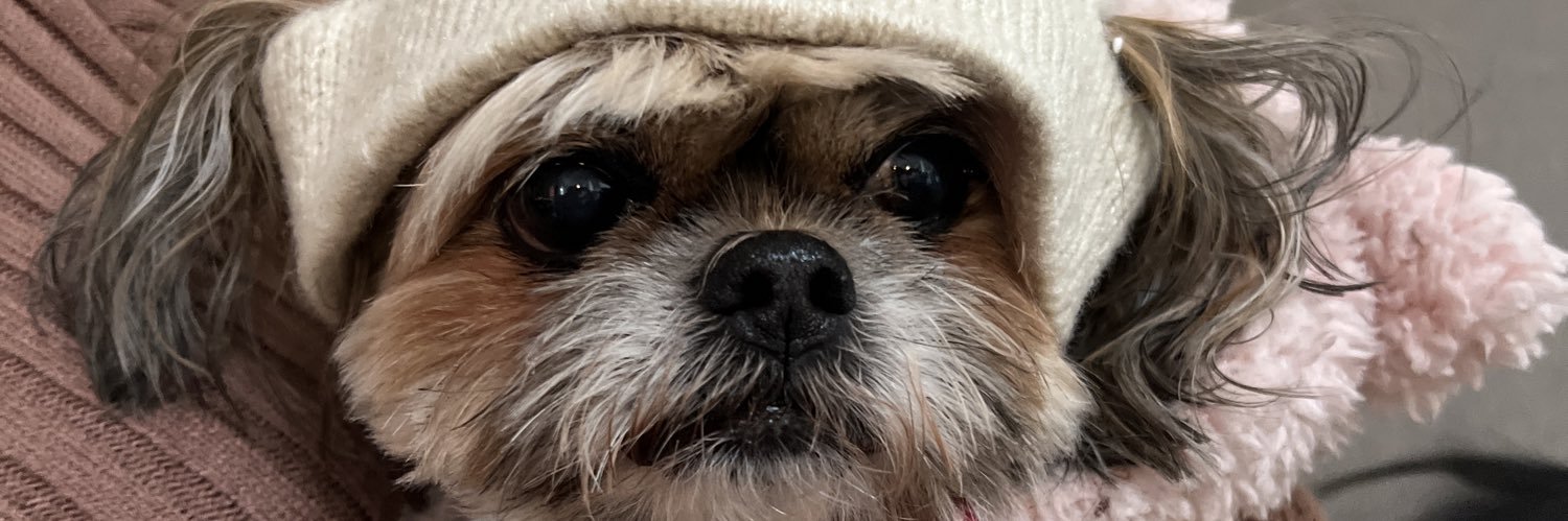 sehseeee's profile banner image