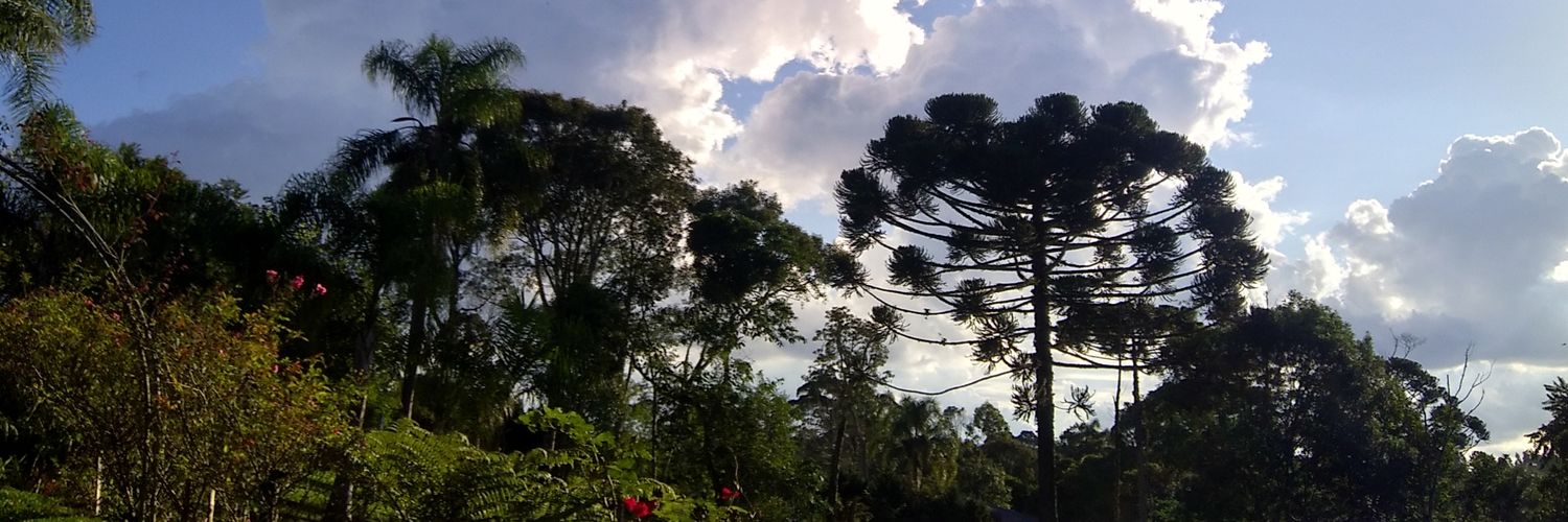 bremaya2's profile banner image