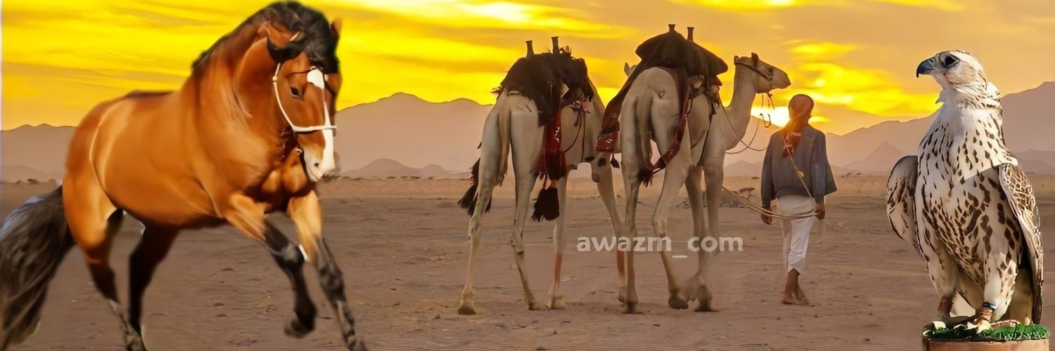 العوازم من عتيبه banner