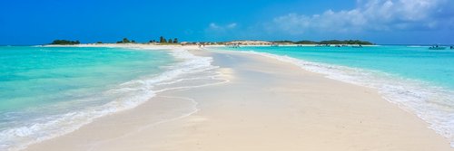 David T. Fernandes Cabral banner