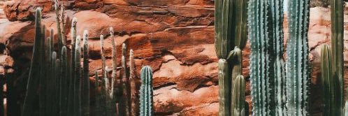 baileybee4's profile banner image