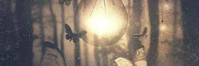 vivisjacques's profile banner image