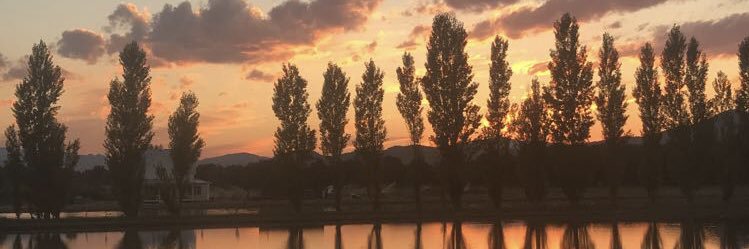 brittaniashepha's profile banner image