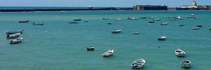 Notengoelshoshopafarolillos banner