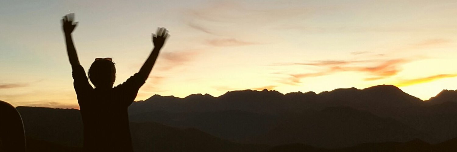 Lluís Mas banner
