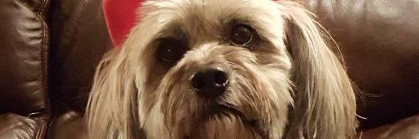 warrenwj28 Profile Banner