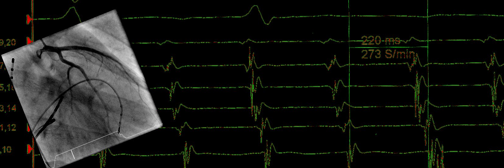 Florian Straube banner