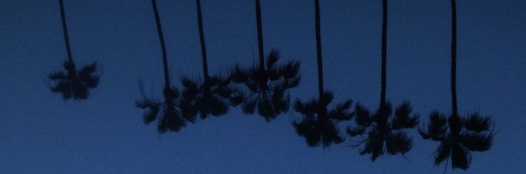 graceffapig's profile banner image