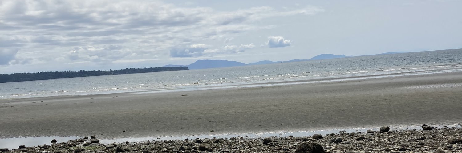 Alli, it’s a journey banner