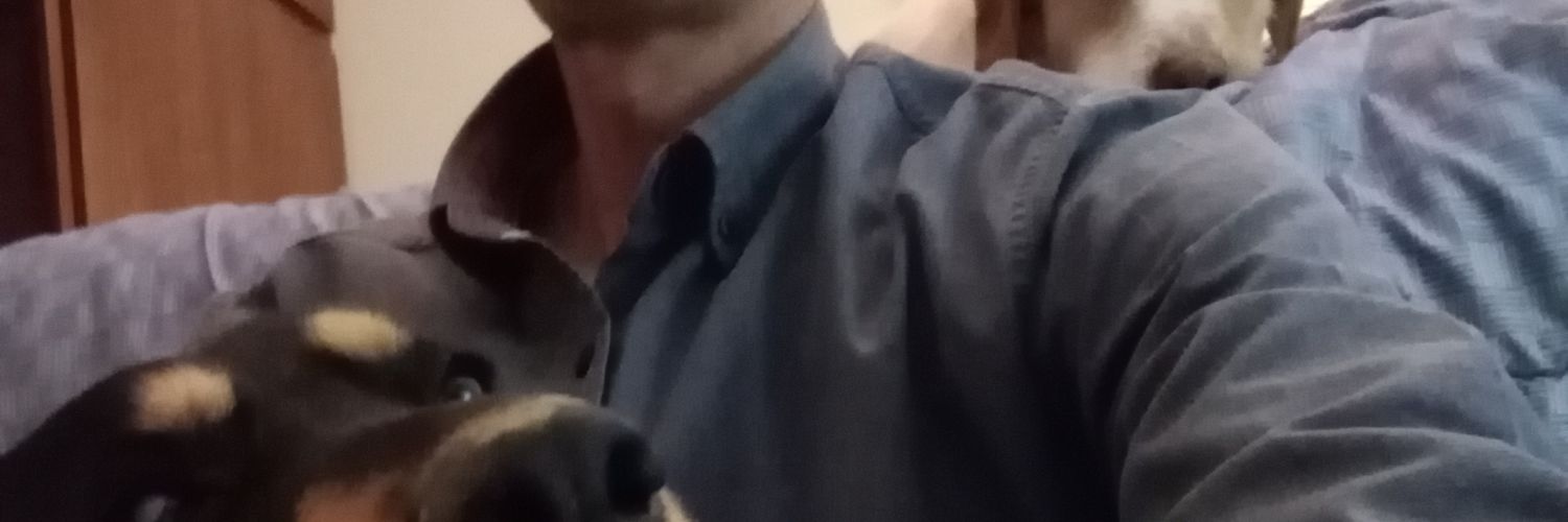 Gustavolester's profile banner image