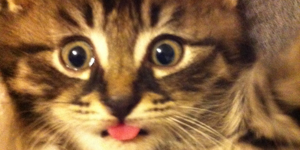 nick_swim's profile banner image