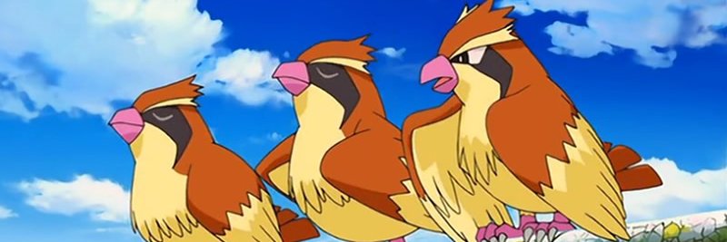 PidgeyDomestico's profile banner image