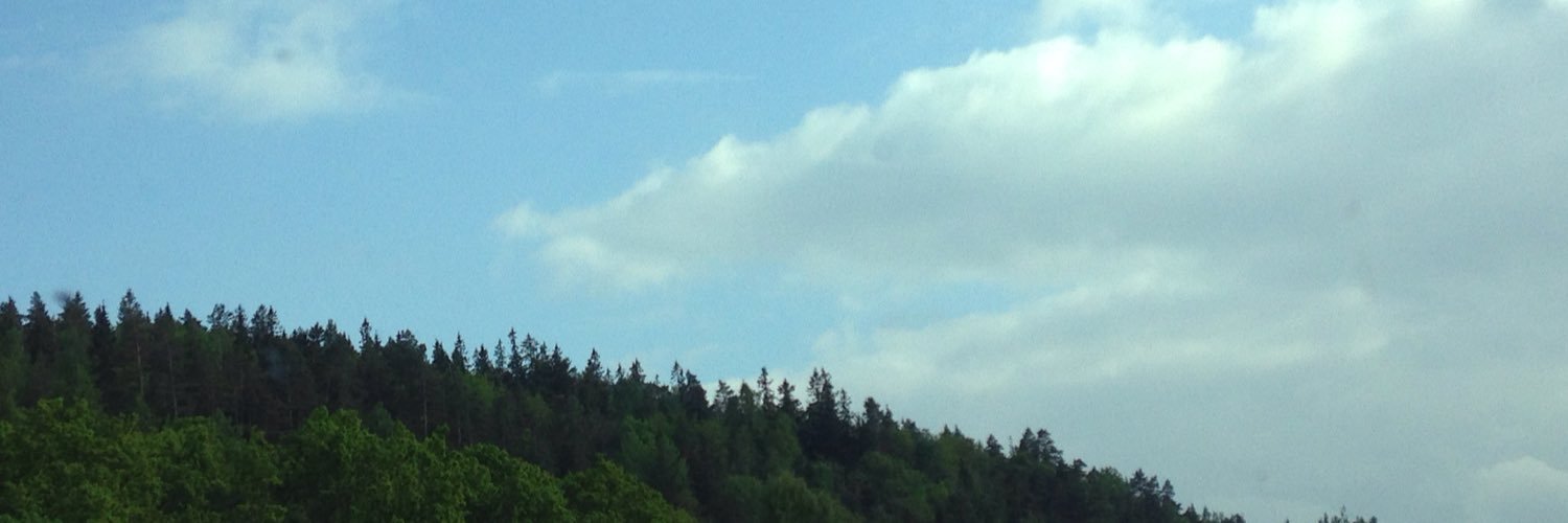Twitter banner for @mccarinci