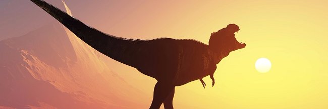 trinarosaurio's profile banner image