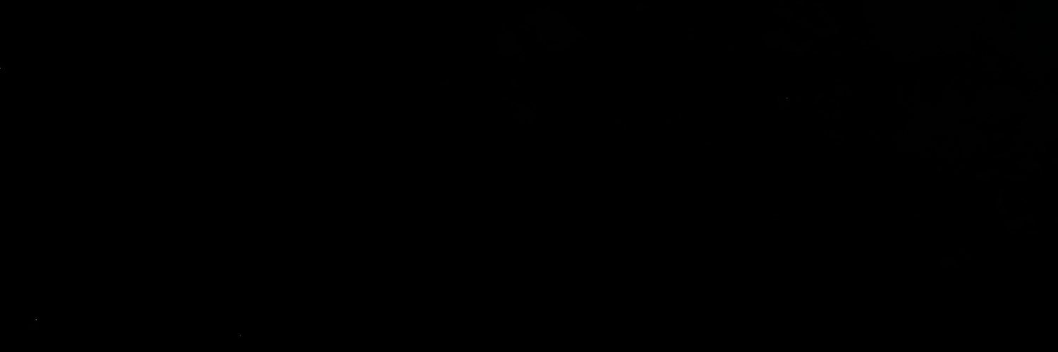thijmendolk's profile banner image