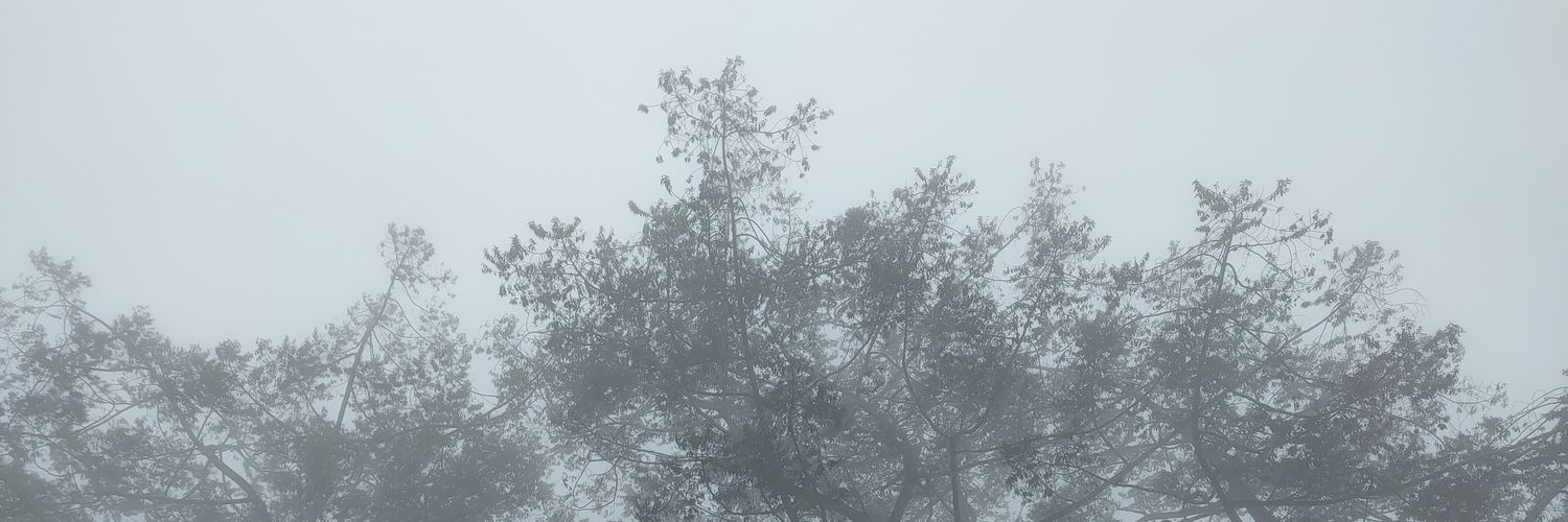 tsabitss's profile banner image