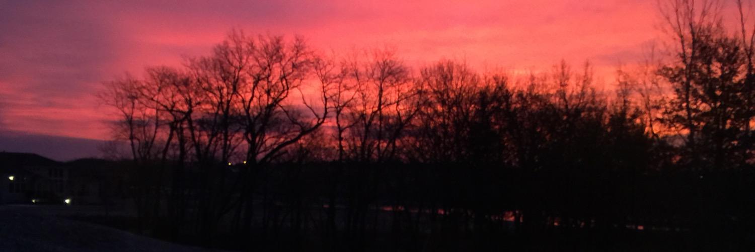 TayNoyes's profile banner image