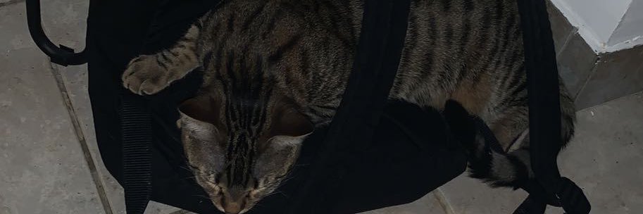 Frazyo974's profile banner image
