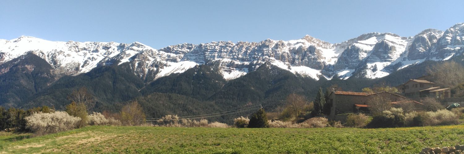 finaguerrera's profile banner image