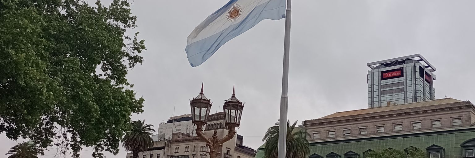 El gorilón de Recoleta banner