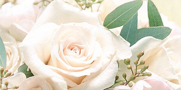 harupyon14's profile banner image
