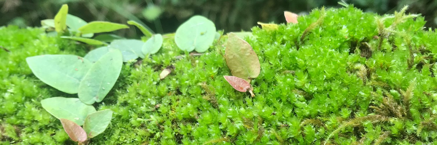 甲鳥（Yule.D） banner